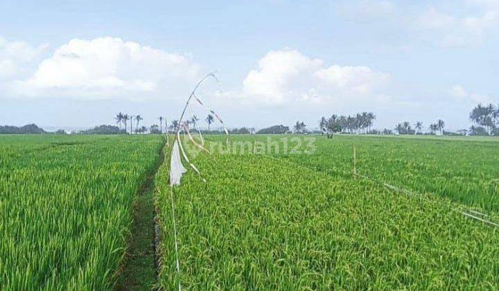 LAND Los Pantai Pasut Tabanan For Sale Cheap Fast Land Los Pantai Pasut Tabanan Bali 1