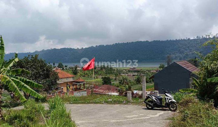 Land for sale with view of Lake Buyan, plantations and Buleleng hills 2