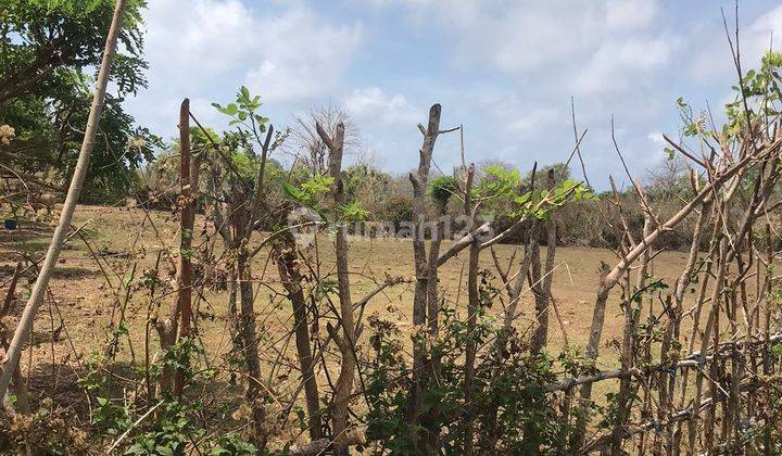 Di Kontrakan Tanah Lokasi Los Tebing Pantai Pecatu Barat Alila Dan Savaya Beach 1