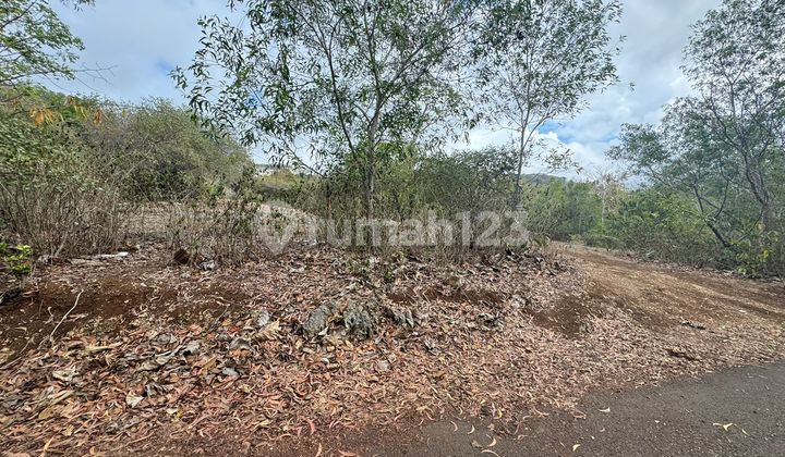 Land for Sale Below Market Price with Ocean View