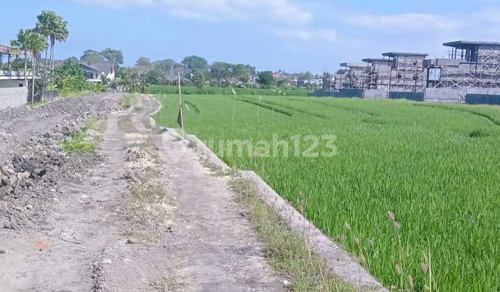 Tanah Sewa Berlokasi Dekat Pantai Lyma