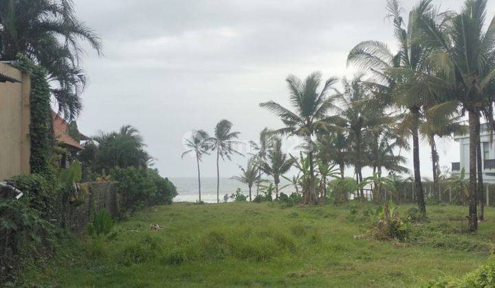 Land for Sale with Rice Field and Sea Views, Tabanan Bali, Villa Environment 2