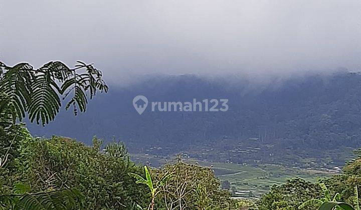 Dijual Tanah Hak Milik Premium di Lokasi Pancasari Bedugul Buleleng Bali. 2