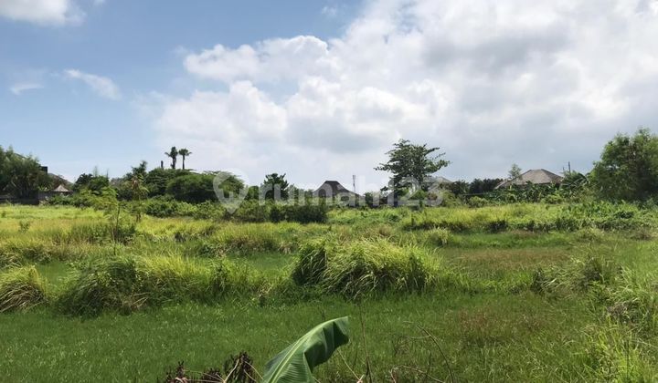 Dijual Tanah di Jalan Umalas Ii Kerobokan Kuta Dijual Tanah di Jalan Umalas Ii Kerobokan Kuta