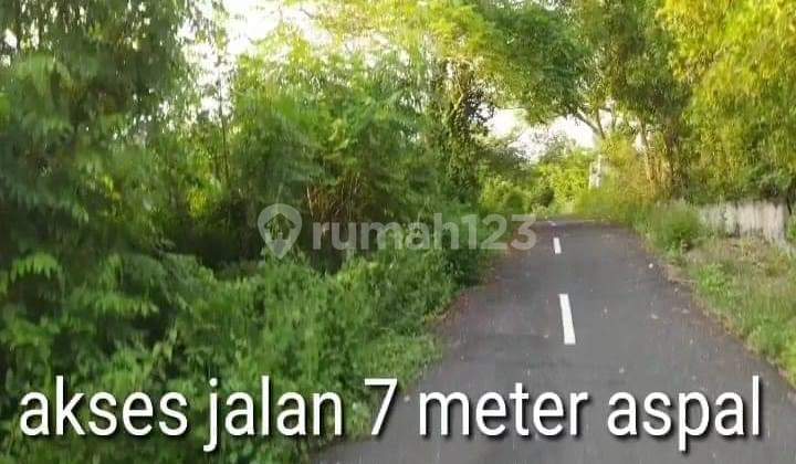 Land for Sale: Location at Loss Tebing Pantai Pecatu Barat, near Alila and Savaya Beach Club, Badung, Bali. Land for Sale: Location at Loss Tebing Pantai Pecatu Barat, near Alila and Savaya Beach Club, Badung, Bali.