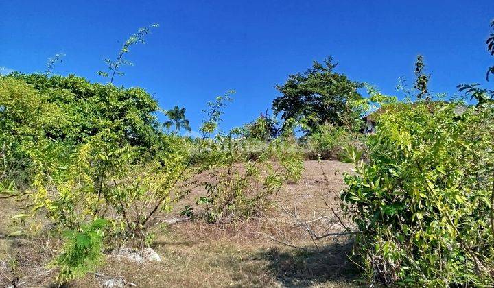 Land For Rent Main Road Location Labuan Said Pecatu Full View With Villa Environment, Rame Villa And Commercial Place 1