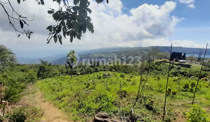 Di jual tanah di desa munduk Buleleng Bali