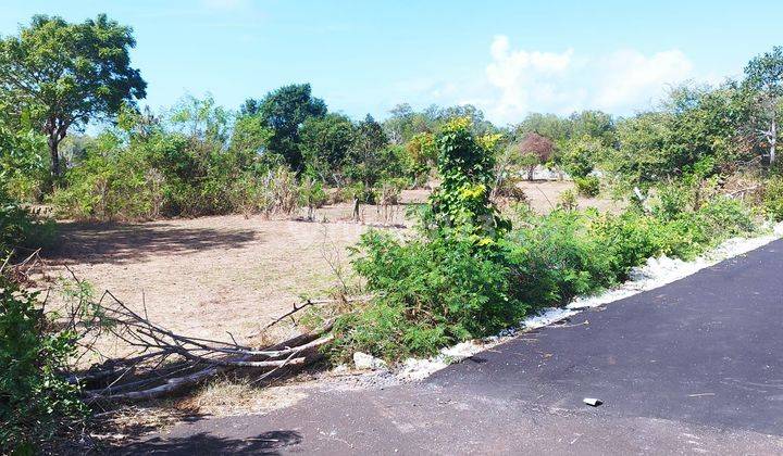 Land For Sale Located In The Tourism Zone Near Pandawa Beach And Tanah Barak Beach 1