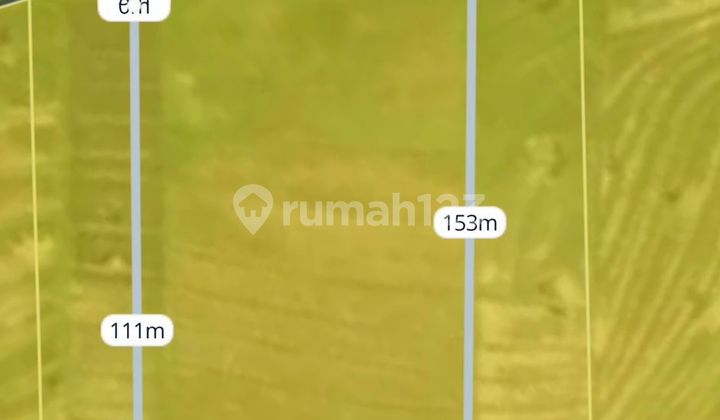 FOR SALE BEACH FRONT LAND / KELATING TABANAN BALI BEACH LOT FOR SALE BEACH FRONT LAND / KELATING TABANAN BALI BEACH LOT