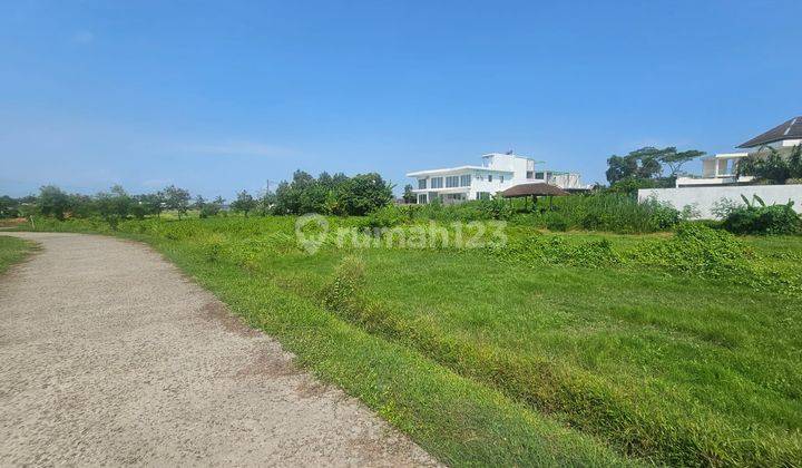 Dijual Tanah Komersil Lokasi Kedungu Tabanan 5 Menit Jalan Kaki Ke Pantai Kedungu  2