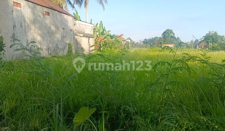 For Rent Land on Main Road Sayan Ubud - Bali