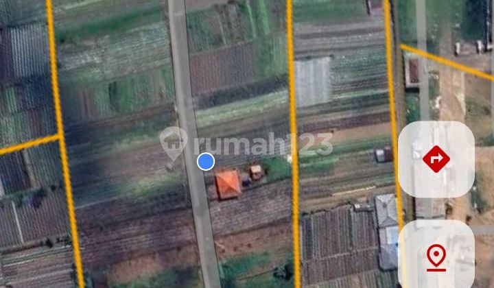 Land for Rent is Rare in the Bedugul Camping Tourist Area, Bali. Land for Rent is Rare in the Bedugul Camping Tourist Area, Bali.