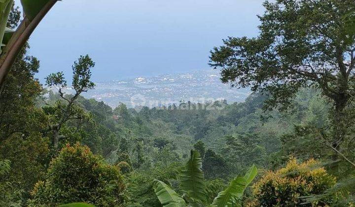 Di Jual Tanah Kebun Cengkeh Dengan View Laut Buleleng Singaraja Bali 2