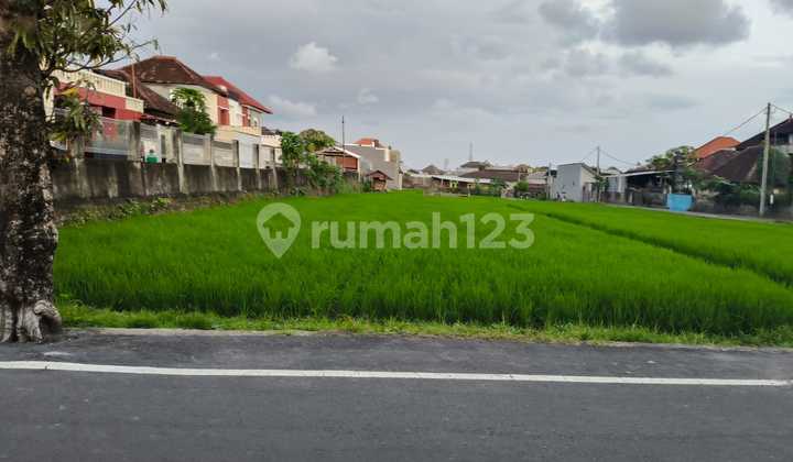 For Rent Premium Land Location Jl Induk Gunung Patas Padang Sambian Kelod For Rent Premium Land Location Jl Induk Gunung Patas Padang Sambian Kelod