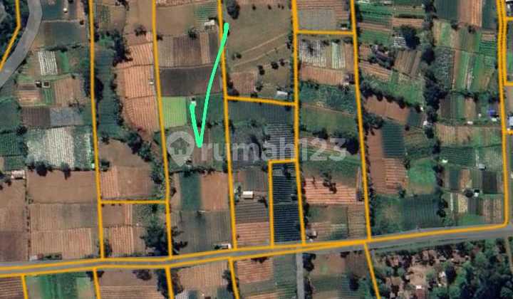 In a 1 Hectare Land Rental, Minimum 30 Are Can be Rented with Mountain, Hill, Lake View, Location Bedugul Bali In a 1 Hectare Land Rental, Minimum 30 Are Can be Rented with Mountain, Hill, Lake View, Location Bedugul Bali