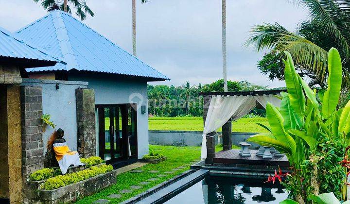 For Sale Viilla Di Tegallalang Ubud Bali View Sawah Dan Tempat Sangat Sejuk Dan Lingkungan Villa 1