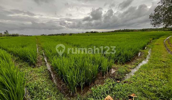 Land with Full View of Sea, Mountain, Rice Fields, and River in Tegal Mengkeb Tabanan Bali