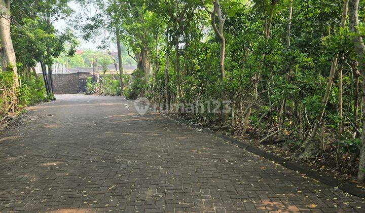 Leasehold Land Bingin Pecatu Bali Lokasi Jalan Pemutih, Pecatu  1