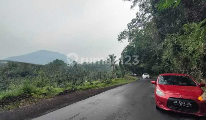 Tanah Full View Gunung & Sawah Sudah Ada Konsep Villa di Sidemen Karangasem Bali Tanah Full View Gunung & Sawah Sudah Ada Konsep Villa di Sidemen Karangasem Bali