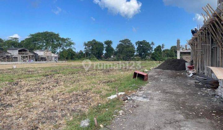 For Rent Land with Rice Field View Located at Seseh Beach, Badung, Bali, Indonesia. 2