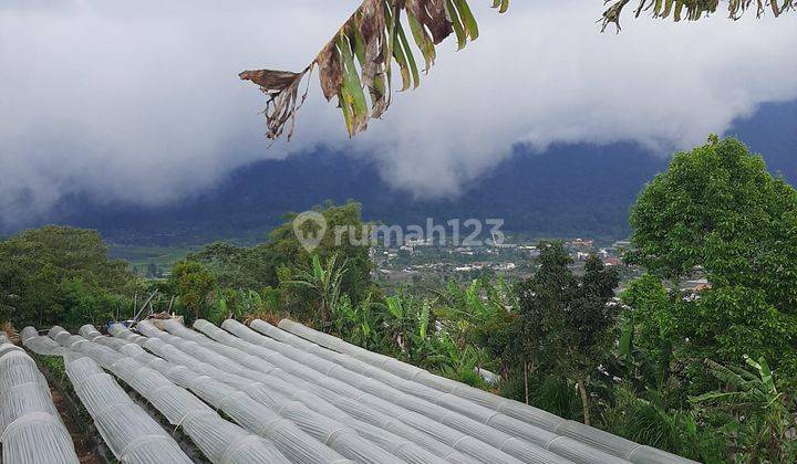 Dijual Tanah Hak Milik Premium di Lokasi Pancasari Bedugul Buleleng Bali. 1