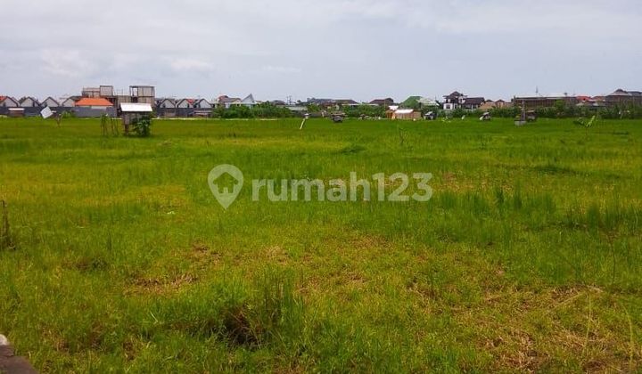Disewakan Tanah View Sawah di Jalan Kunti II Seminyak Kuta Badung -Bali