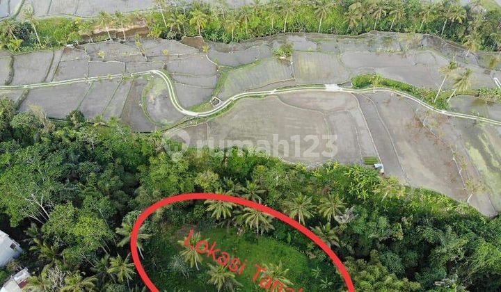 Dijual Tanah View Sawah Jalan Utama Sebatu Tegalalang Ubud Gianyar - Bali Dijual Tanah View Sawah Jalan Utama Sebatu Tegalalang Ubud Gianyar - Bali