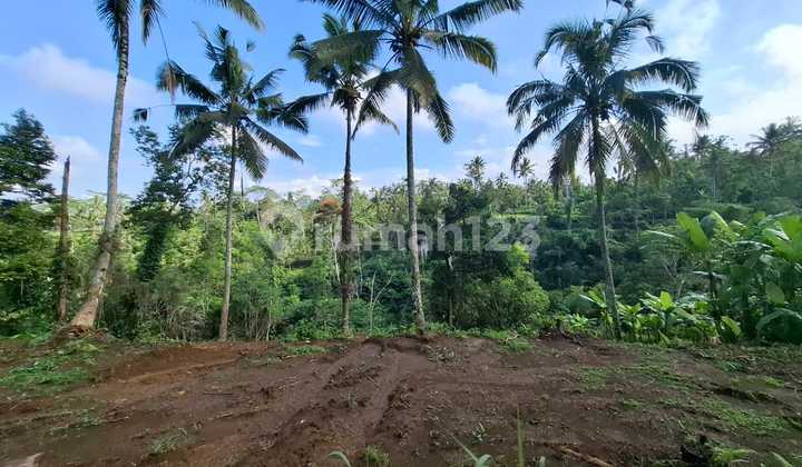 Tegalalang Gianyar land view of jungle and river, land area 4400m2. Tegalalang Gianyar land view of jungle and river, land area 4400m2.