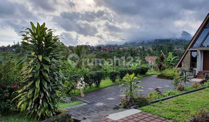 FOR SALE RESORT/ COTTAGE WITH VIEWS OF RICE FIELDS / FOREST / MOUNTAINS LOCATION NEAR TOURIST ATTRACTIONS OF BEDUGUL FOR SALE RESORT/ COTTAGE WITH VIEWS OF RICE FIELDS / FOREST / MOUNTAINS LOCATION NEAR TOURIST ATTRACTIONS OF BEDUGUL