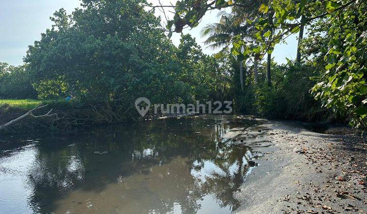 Freehold Land For Sale Beachfront Land For Sale 1