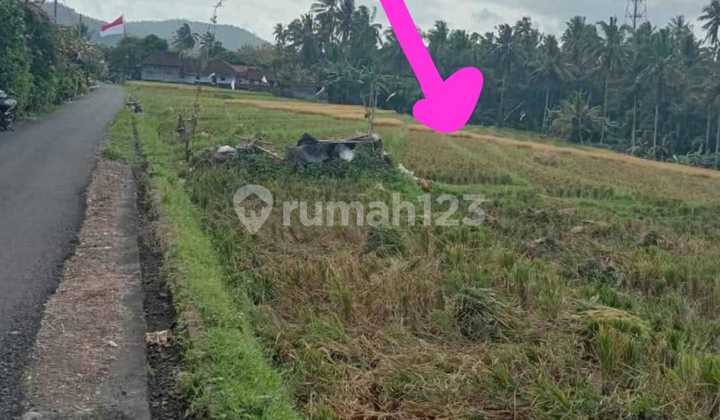 For Sale Land Buc Balian Beach Tabanan Pink Zone Tourism For Sale Land Buc Balian Beach Tabanan Pink Zone Tourism