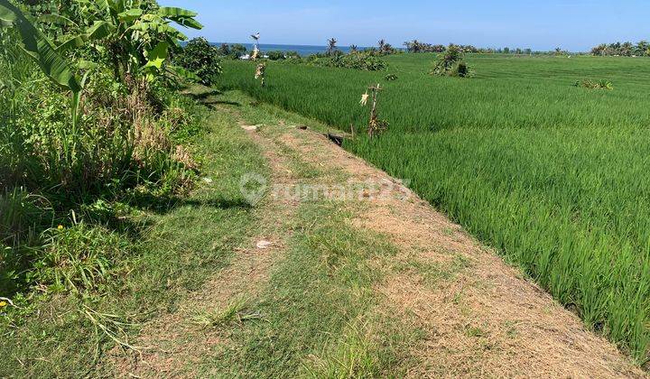 Freehold Land For Sale Beachfront Land For Sale 2