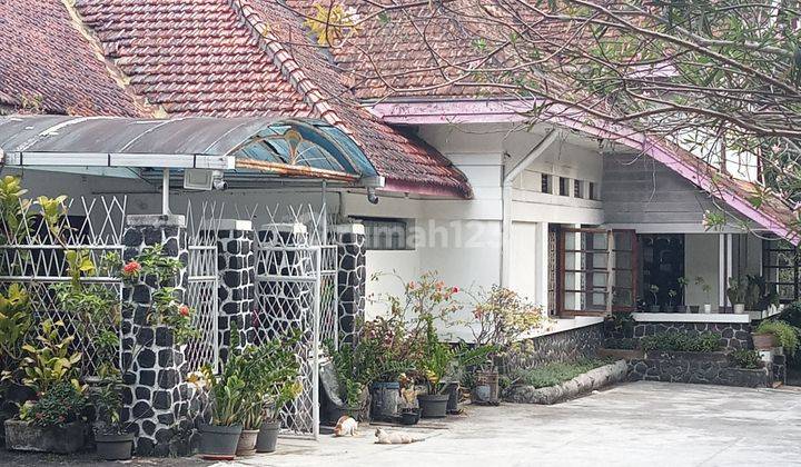 Rumah tempo dulu tanahnya luas lokasi strategis  2