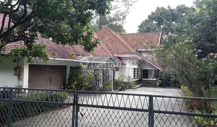 Rumah tempo dulu tanahnya luas lokasi strategis  1