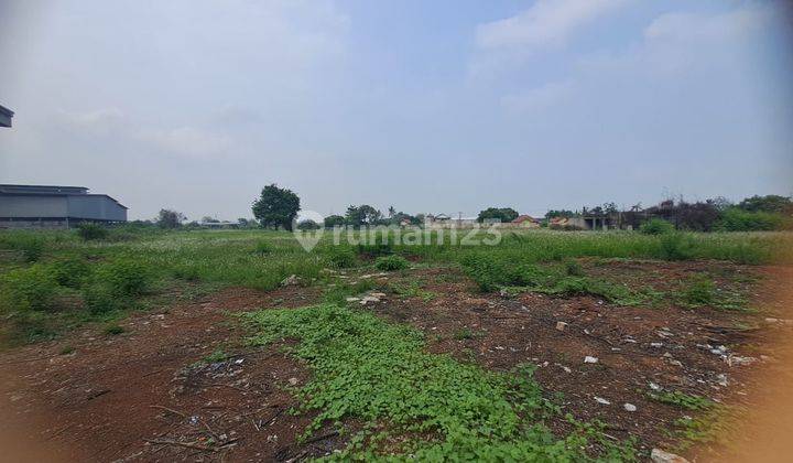 Tanah Raya Pantura Lebar Muka 170m Hadap Selatan 2