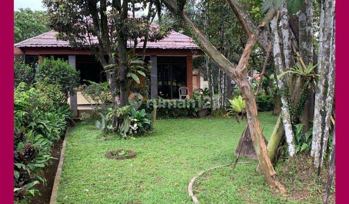 Dijual Rumah di Raya Puncak Cipayung 1