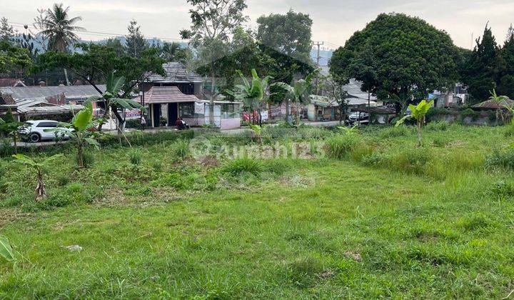 Jual Cepat Tanah Siap Bangun, Puncak Kota Bunga Cipanas, Shm harga bagus 2