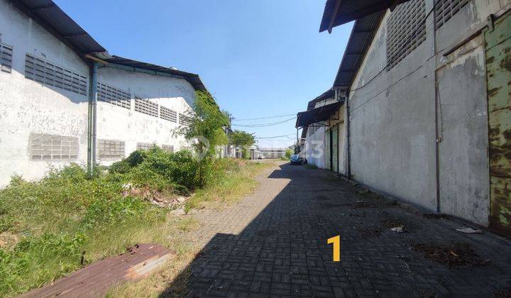 Gudang Siap Huni Tambak Sawah Dekat Tol,bandara Juanda,rungkut 2