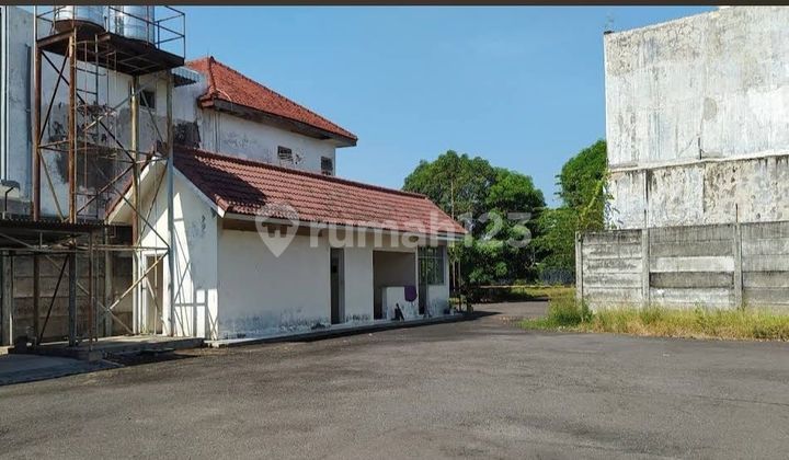 Gudang Murah di Sumbersari Jember Jawa Timur