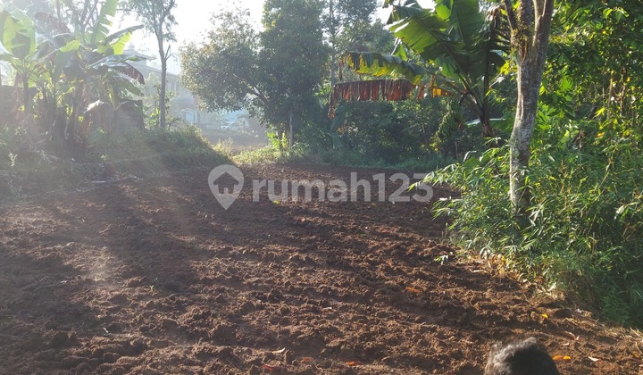 Dijual Tanah Mega Mendung, Arah Taman Safari Bogor