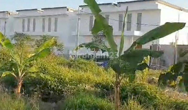 Sewa Tanah 20 Are Pererenan Bali, Dekat Pantai Lima & Canggu 2