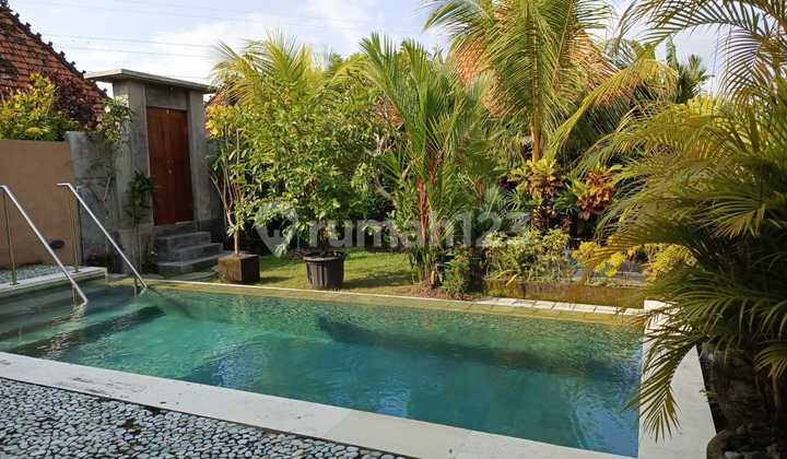 1 Bedroom Private Pool Villa For Rent In Lodtunduh, Ubud - Bali