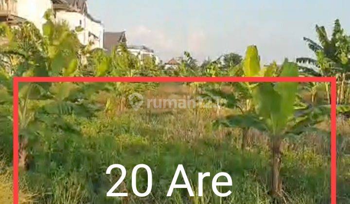 Sewa Tanah 20 Are Pererenan Bali, Dekat Pantai Lima & Canggu 1