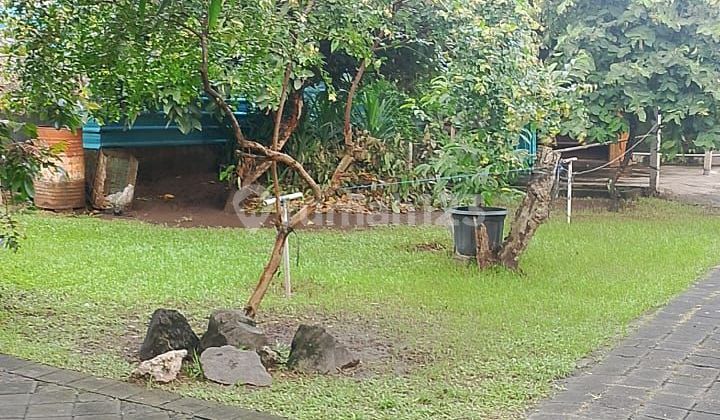 Jual Tanah Denpasar Siap Bangun 5,6 Are di Penatih Bali SHM Jual Tanah Denpasar Siap Bangun 5,6 Are di Penatih Bali SHM