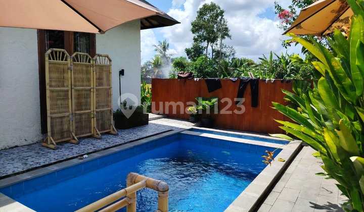 Ubud Villa For Rent - 2 Bedroom With Private Pool Rice Field View