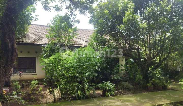 Rumah Area Lokasi Komersial Sayap Dago Bandung Rumah Area Lokasi Komersial Sayap Dago Bandung