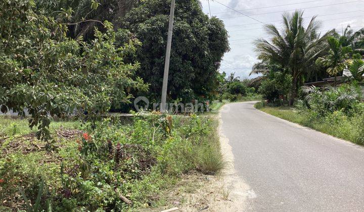 Tanah Kebun Sawit Dijual di Jl. Ikan Parang Rumbai 1