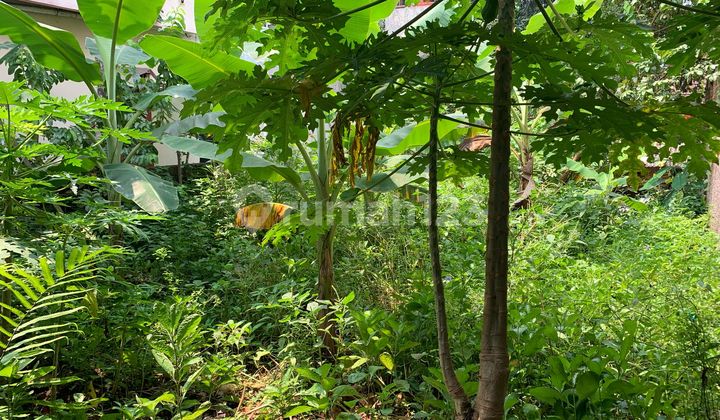 Di Jual Tanah Jakarta Timur Di Jual Tanah Jakarta Timur