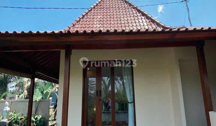 Villa Modern Dengan Pemandangan Sawah