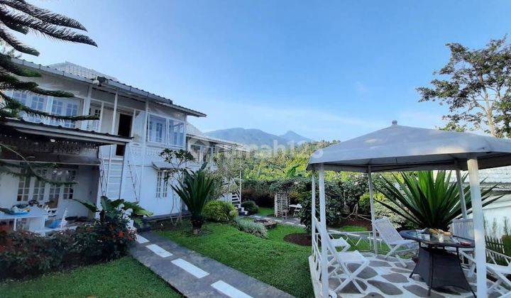 Rumah&Villa View Gunung Di Cijeruk Bogor 30Menit Ke Tol  Bogor 1